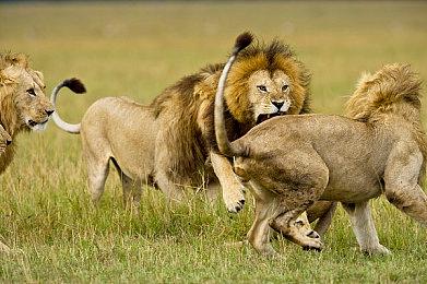 《博德之门3》9号热修复补丁上线 修复bug加入新功能