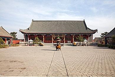 《上古卷轴OL》限时免费领取宠物：伽林幽魂