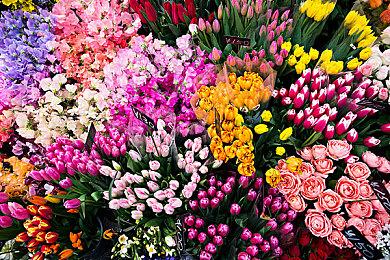 《银河战士Prime 3》原计划做成开放世界非线性游戏